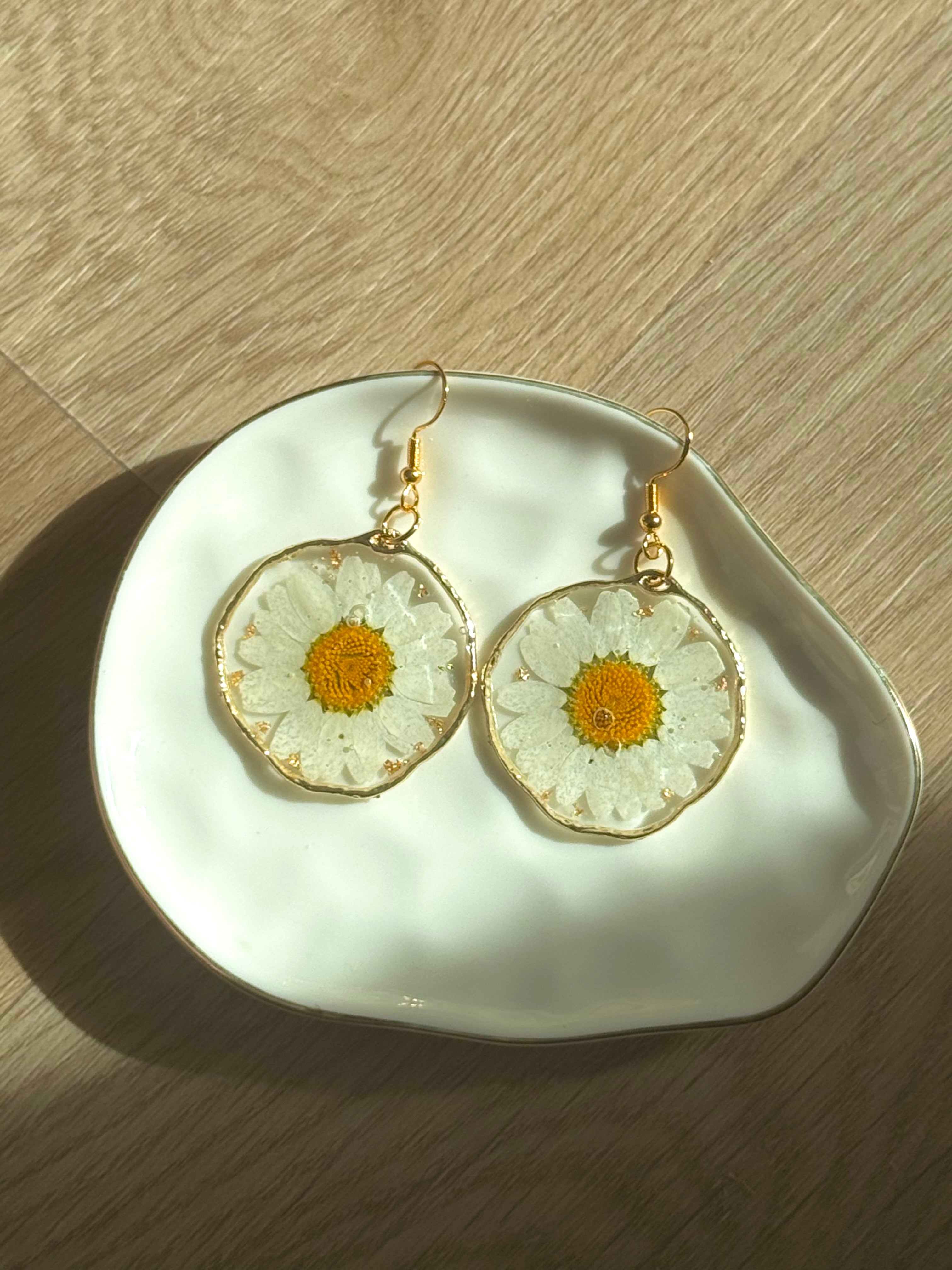 daisy dreams