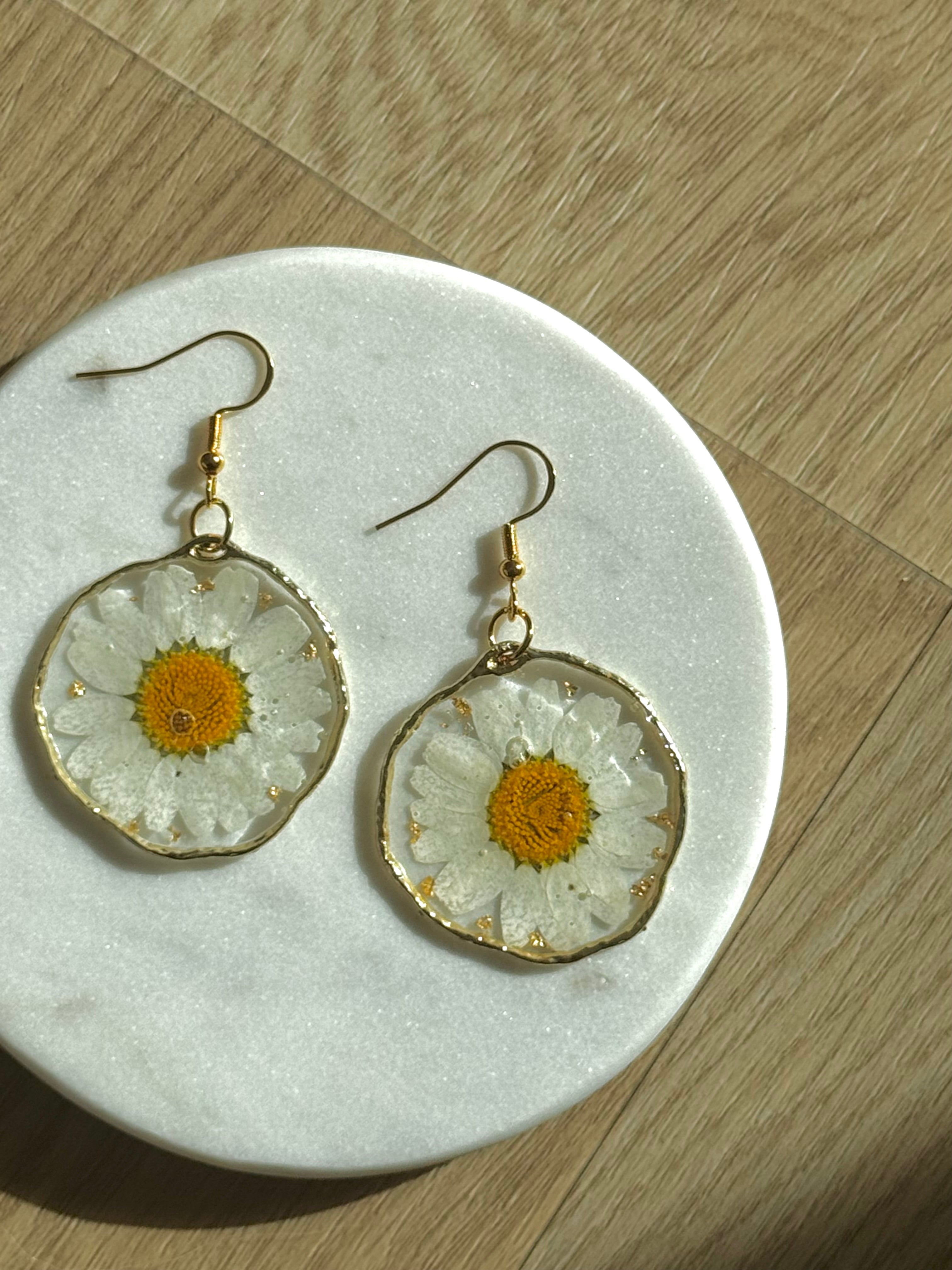 daisy dreams